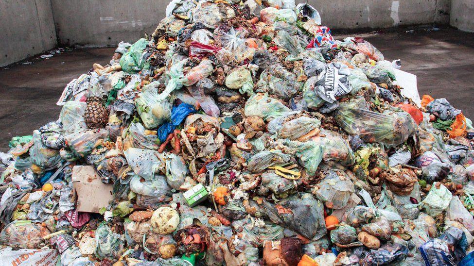 A large pile of clear plastic bags filled with food waste, including pineapples, potatoes, banana peels, peppers, rotten fruit and vegetables. 