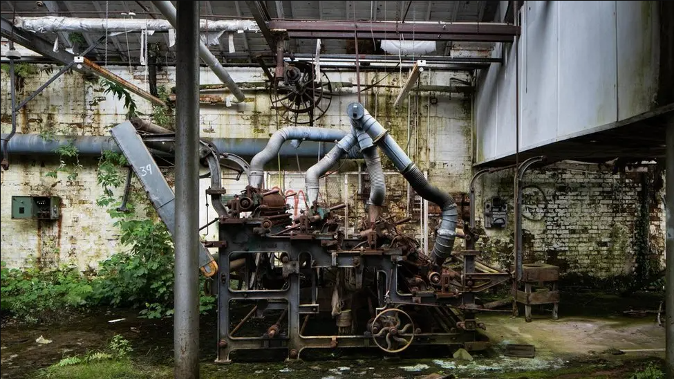 An old industrial piece of equipment around one metre tall with thick pipes coming out the top of it. It's on a concrete floor with moss and grass on it, with weeds growing up the stained white walls.