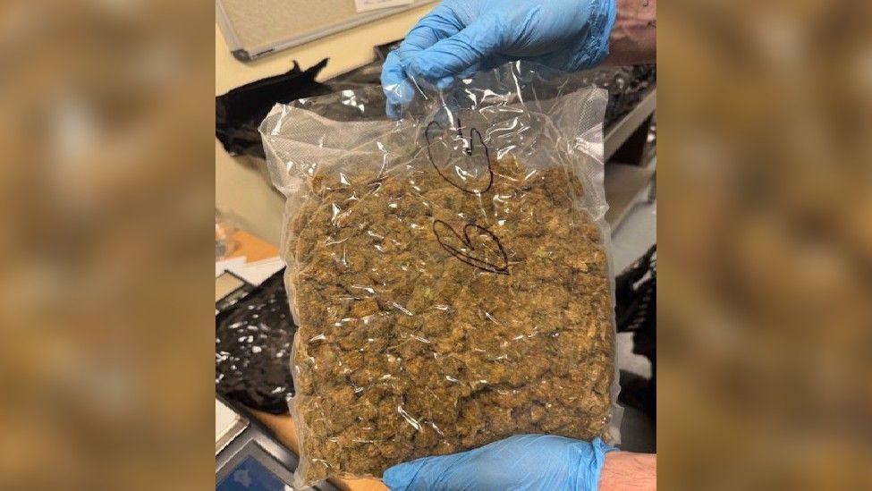 A pair of hands in blue gloves holding a large bag of cannabis that someone has written BG on in black pen