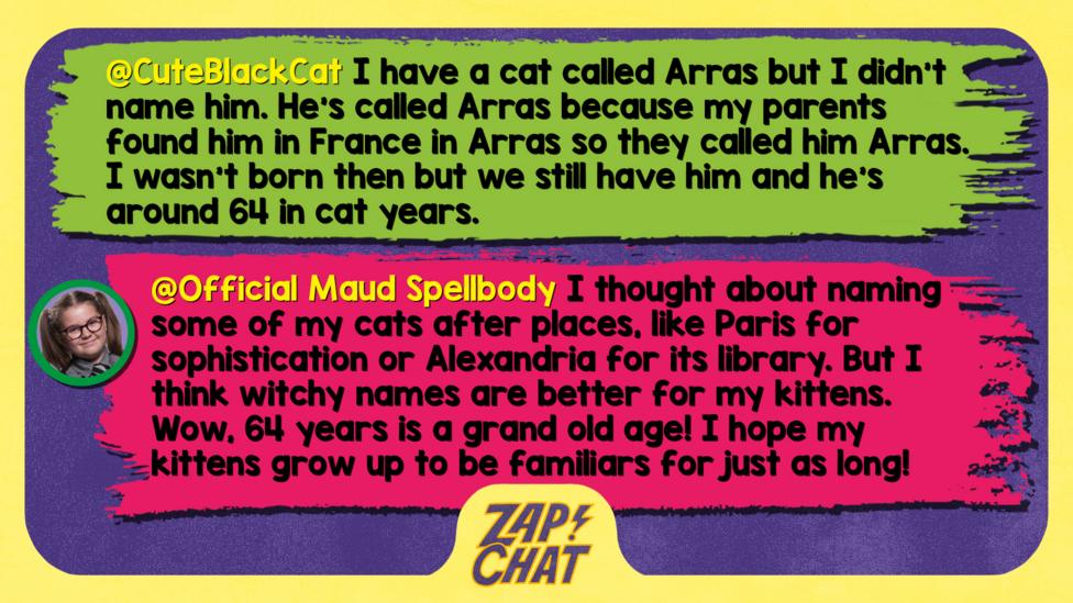 Zapchat replies: From CuteBlackCat: I have a cat called Arras but I didn't name him. He's called Arras because my parents found him in France in Arras so they called him Arras. I wasn't born then but we still have him and he's around 64 in cat years. From Maud: I was considering naming some of my cats after places instead, like Paris for sophistication, Alexandria for its library, or Florence for its beauty. But I think witchy names are better for my kittens. Wow, 64 years is a grand old age! I hope my kittens grow up to be familiars for just as long!
