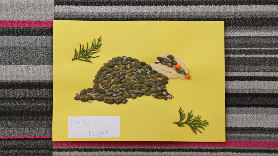 Artwork of a badger, made from seeds.