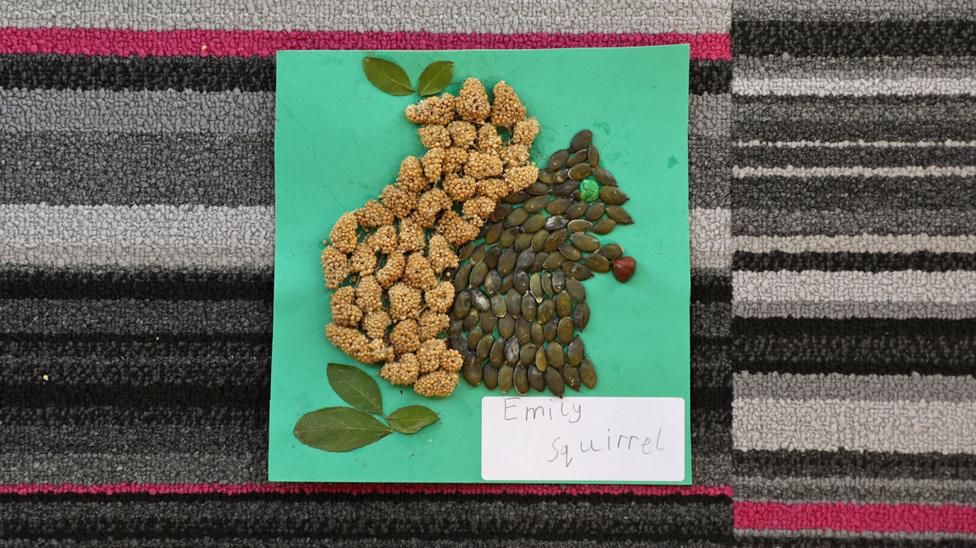Artwork of a squirrel, made from millet and seeds.