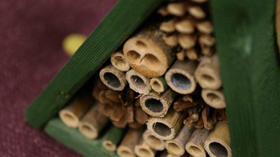 A close-up of the bamboo canes and pinecones inside the hotel.