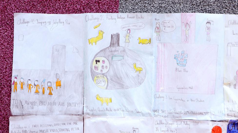 A section of the poster covering Lindsey jumping off Worthing Pier, herding Indian runner ducks, and Lindsey performing gymnastics in the studio.