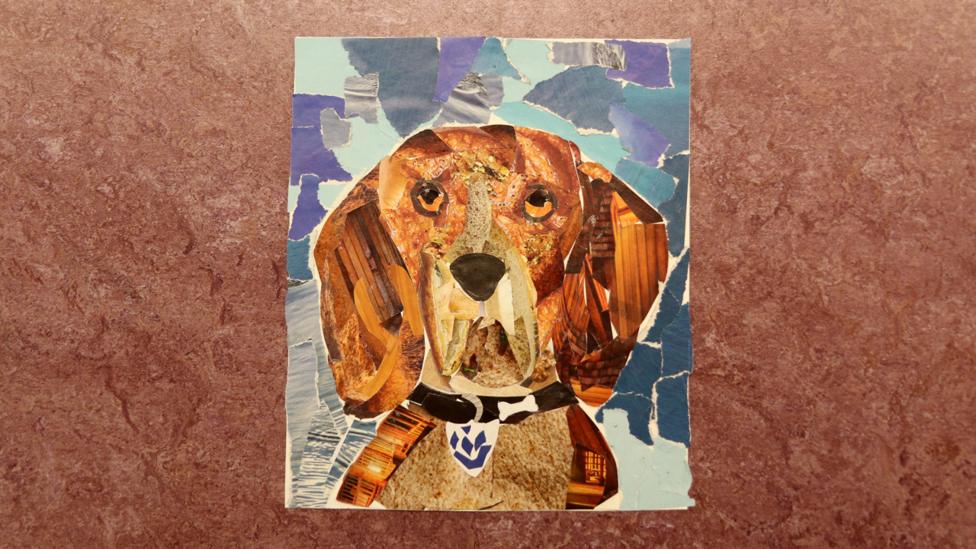 A collage in the shape of Henry the Blue Peter dog. Henry is made up from pictures of bread, wood, roof tiles and other brown food.
