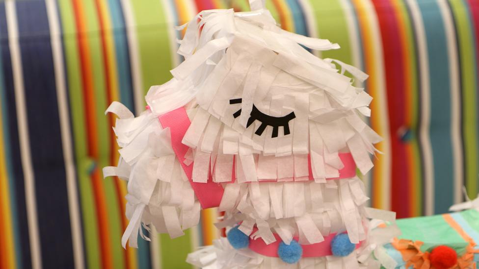 A close-up of the llama's face.