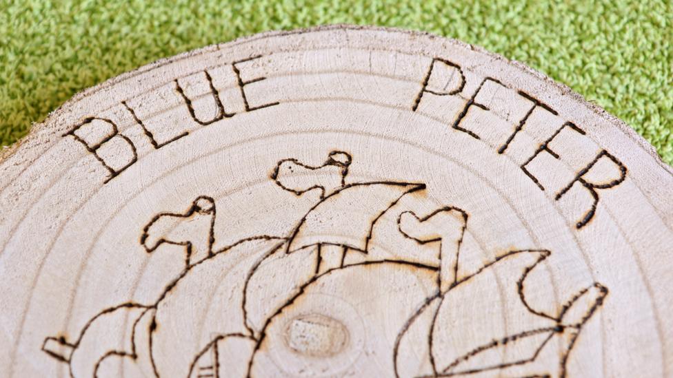 A close-up of the words "Blue Peter", carved into the log slice. Made by Macey from Bridgend, Wales.