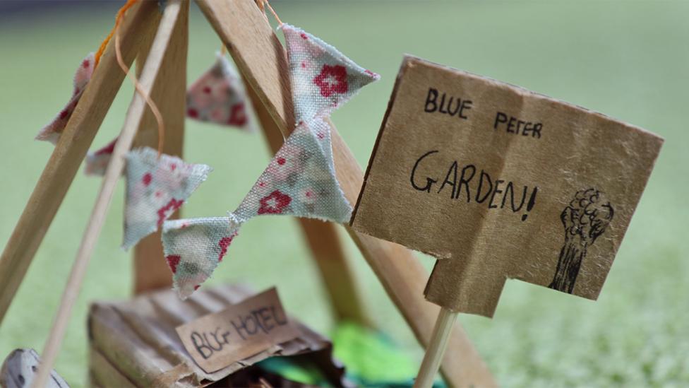 A close-up of the cardboard Blue Peter Garden sign, at a jaunty angle.
