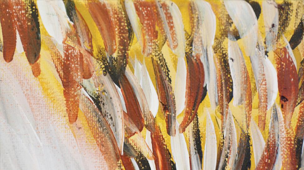 A close-up of the varied feather colours.