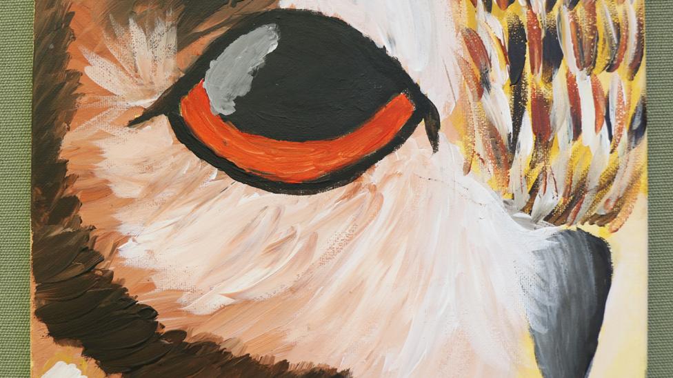 A close-up of the eye and beak of the Owl.