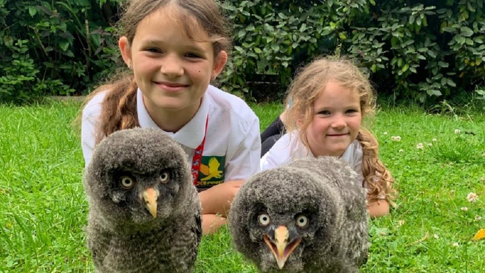 two-children-with-owls.