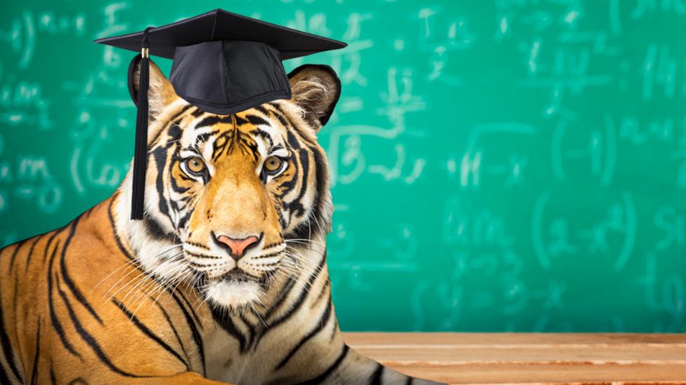If teachers were animals...