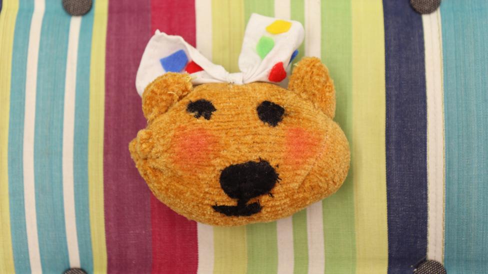 A plush soft toy of Blush bear's head.