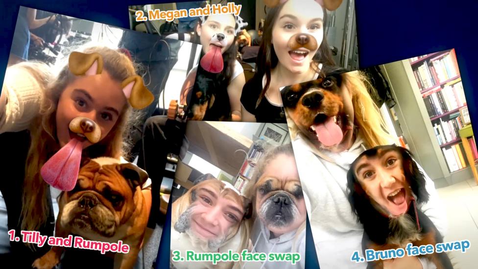 Selfies with dogs.