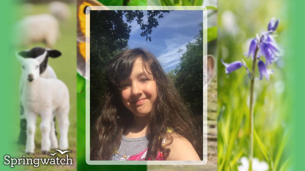 Your Springwatch Snaps.