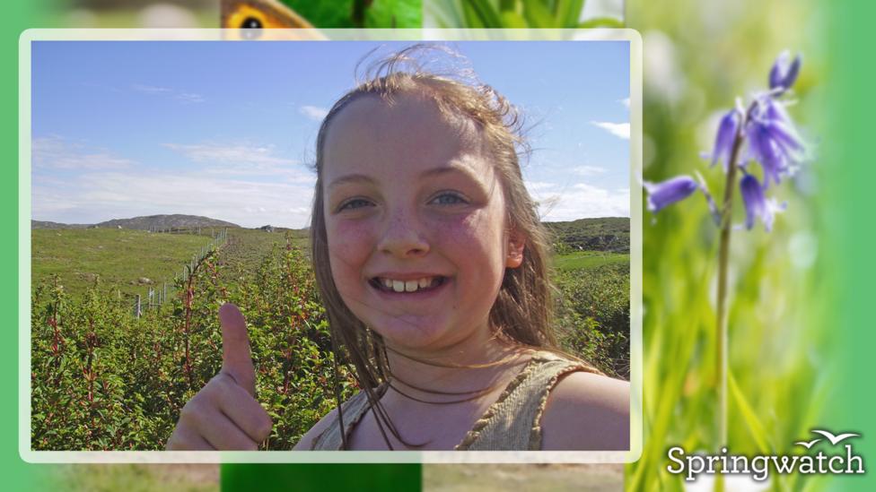 Your Springwatch Snaps.