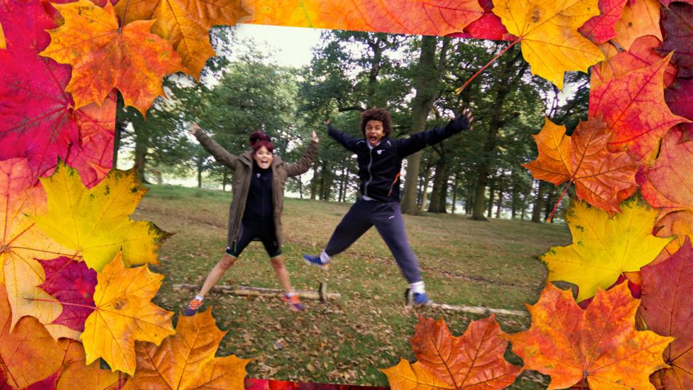 Autumnal photos sent in by the CBBC audience.
