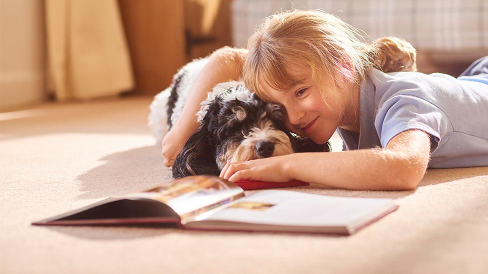 5 things to do animals bp index.