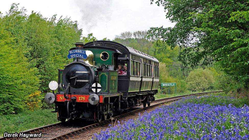 A train driving through the country
