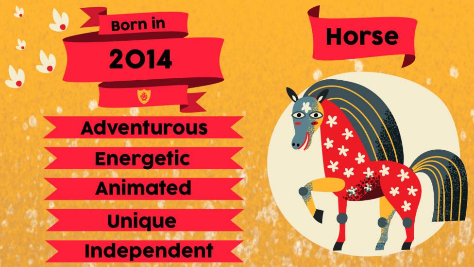 A horse and flags with text "Born in 2014. Adventurous, Energetic, Animated, Unique, Independent "
