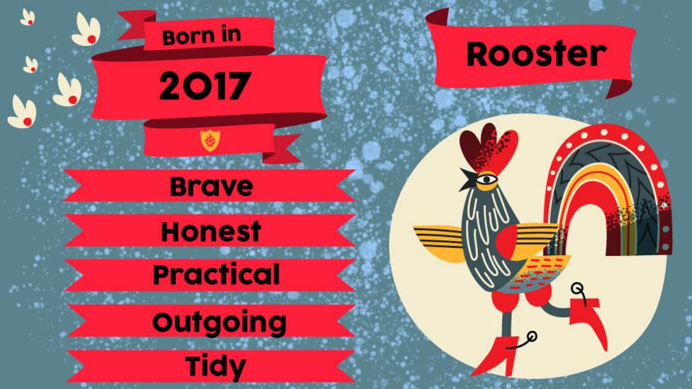 A rooster and flags with text "Born in 2017. Brave, Honest, Practical, Outgoing, Tidy"