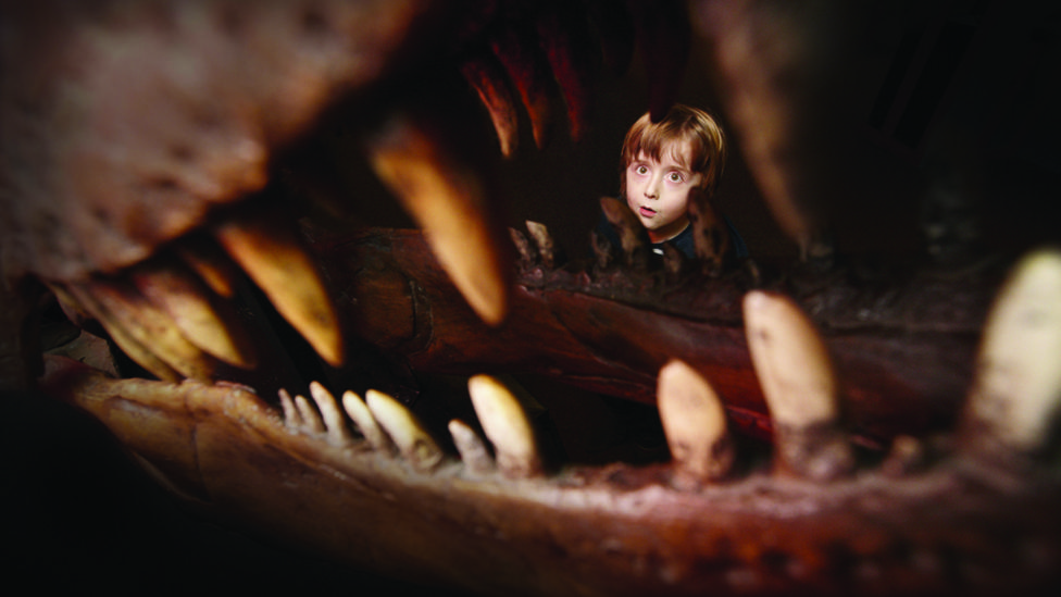 Boy looking up at a skull of a t-rex