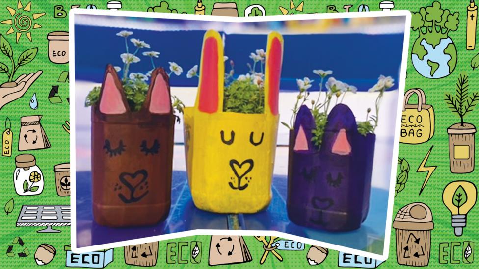 bp-green-hacks-bunny-pots