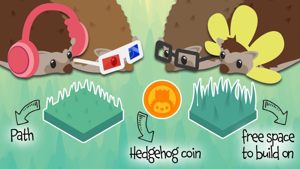 bp-hedgehog-wonderland-guide-paths-coins