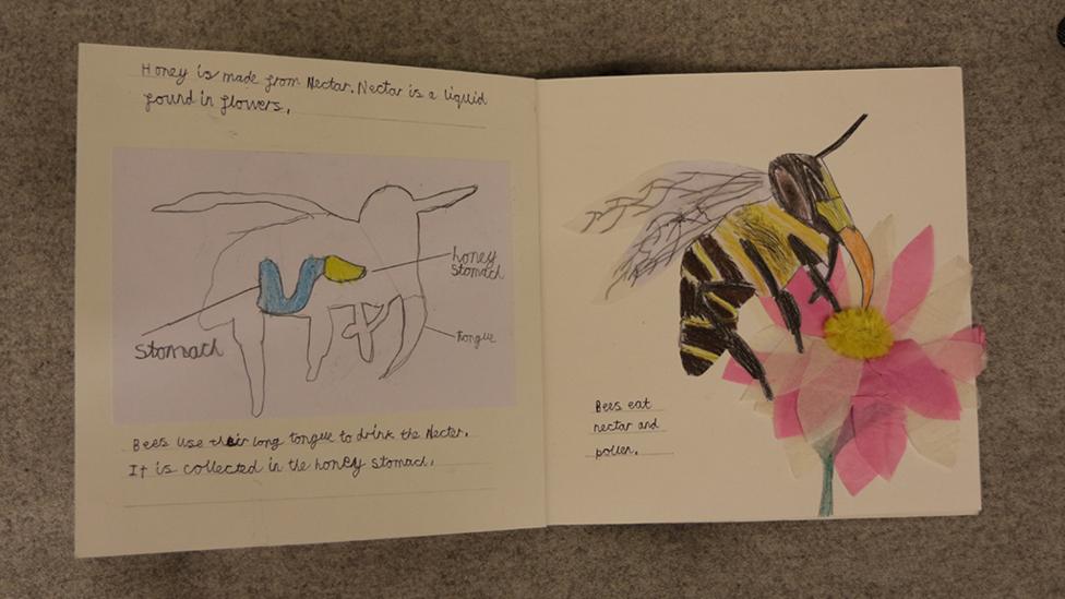 Fan book about bees