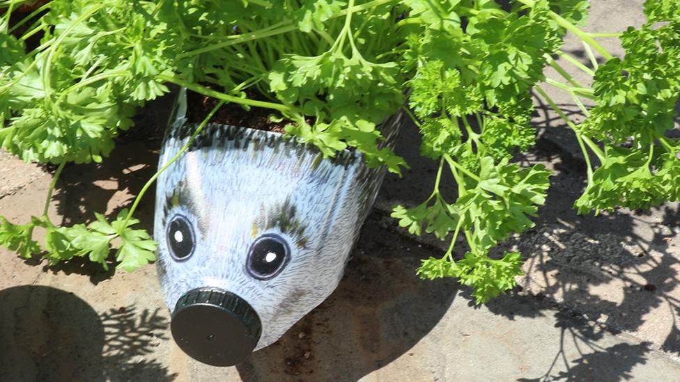 Plant pot in the shape of a hedgehog
