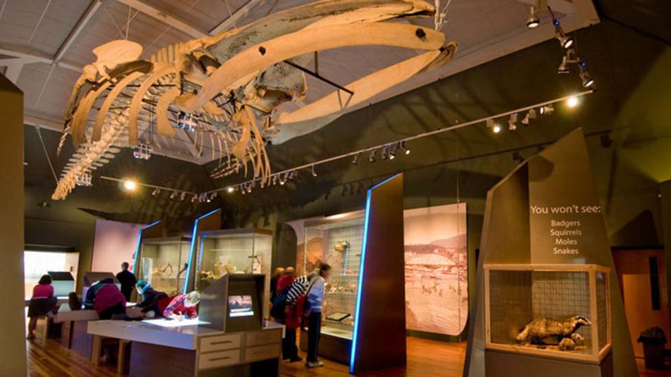 The interior of the Manx museum with various exhibitions and displays