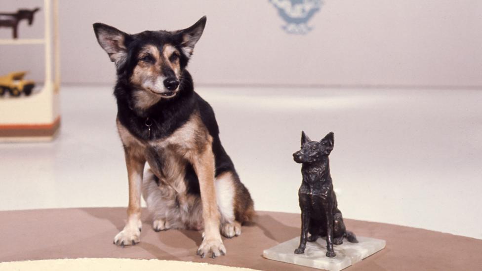 Petra the Dog with a model of herself