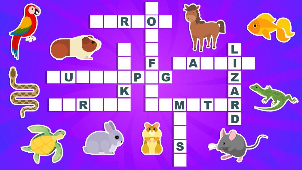 bp-pet-crossword-11-2-22