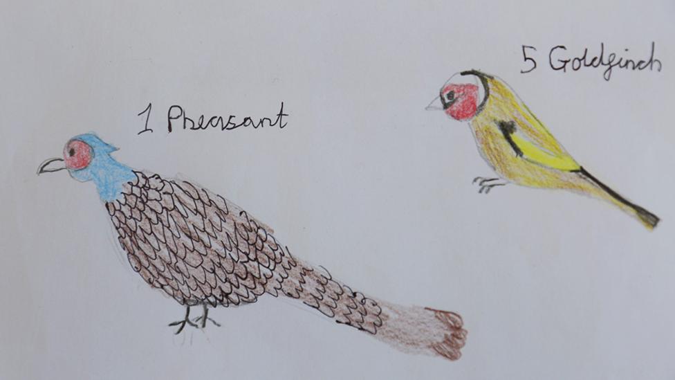 Hand drawn birds.