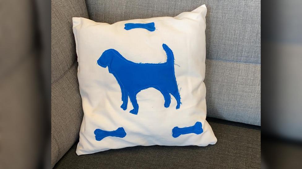 A home made henry pillow