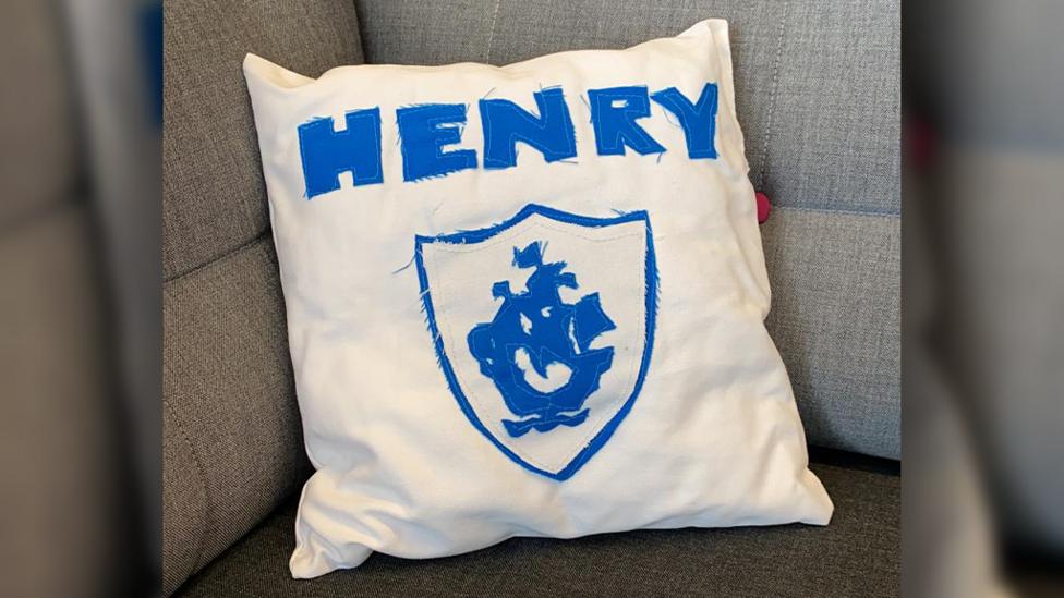 A home made henry pillow