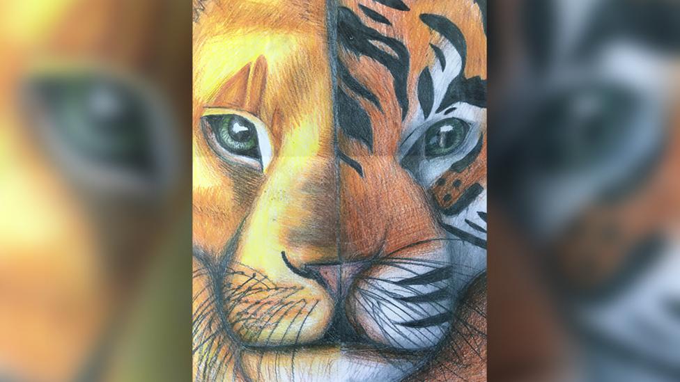 A hand drawn lion and tiger.