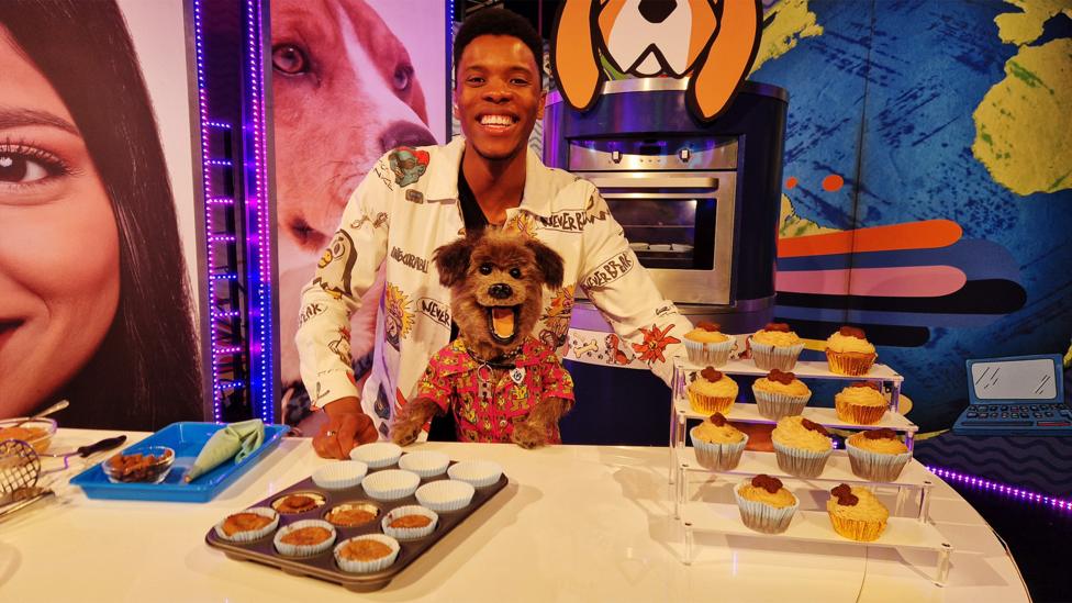CBBC's Rhys and Hacker the dog smile and show various cupcakes made for dogs, it is made of banana and peanut butter and decorated with a dog treat.