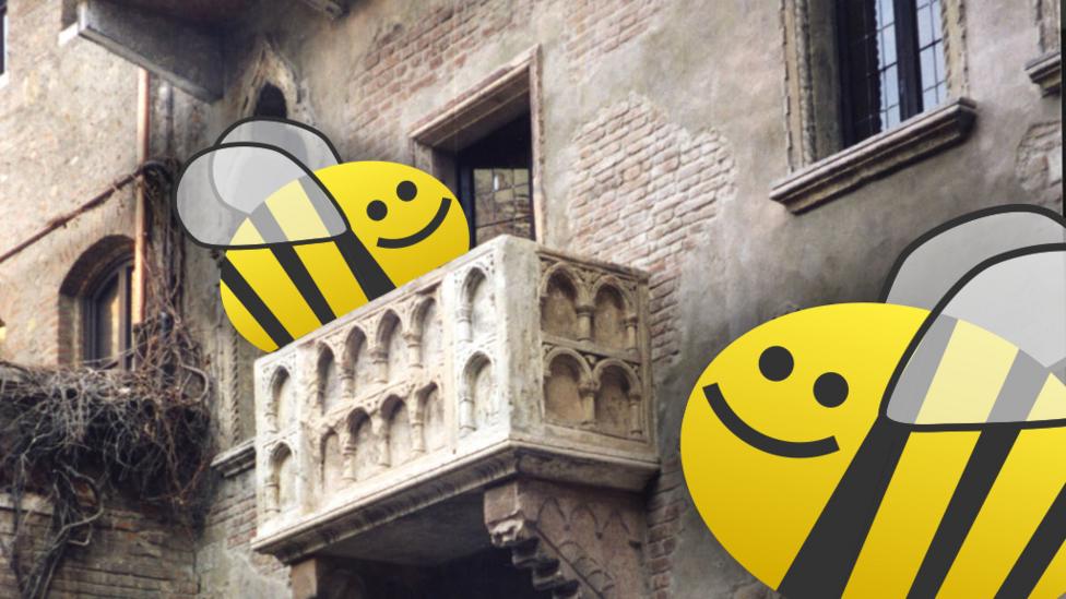 Two bees at Juliet's balcony