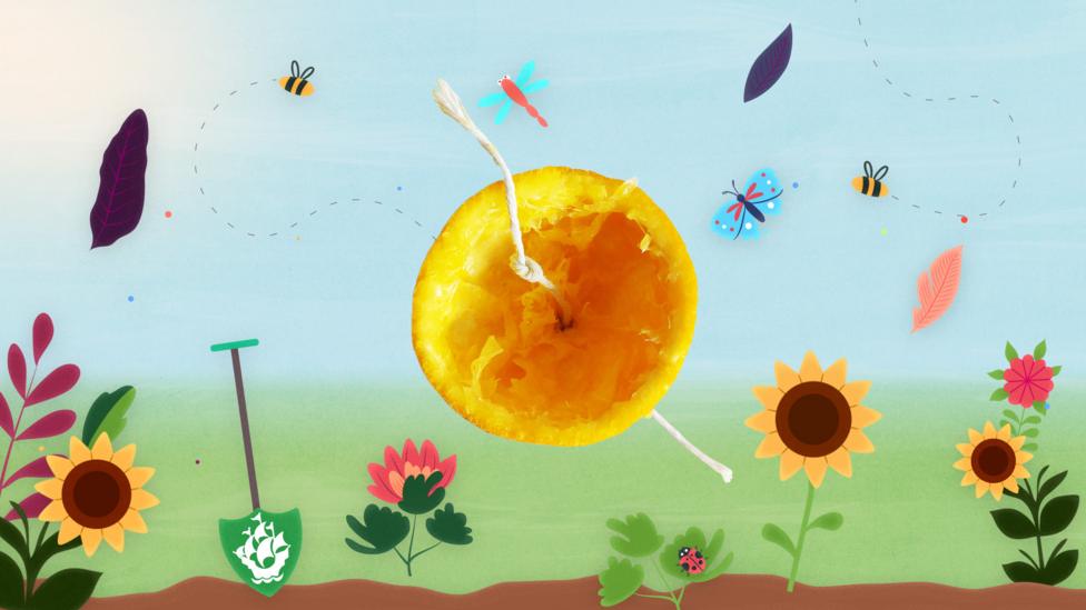 An image an orange peel with a piece of string tied through it.