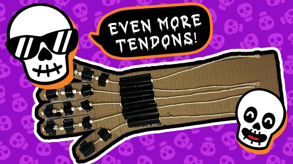 Blue Peter skeleton hand make steps