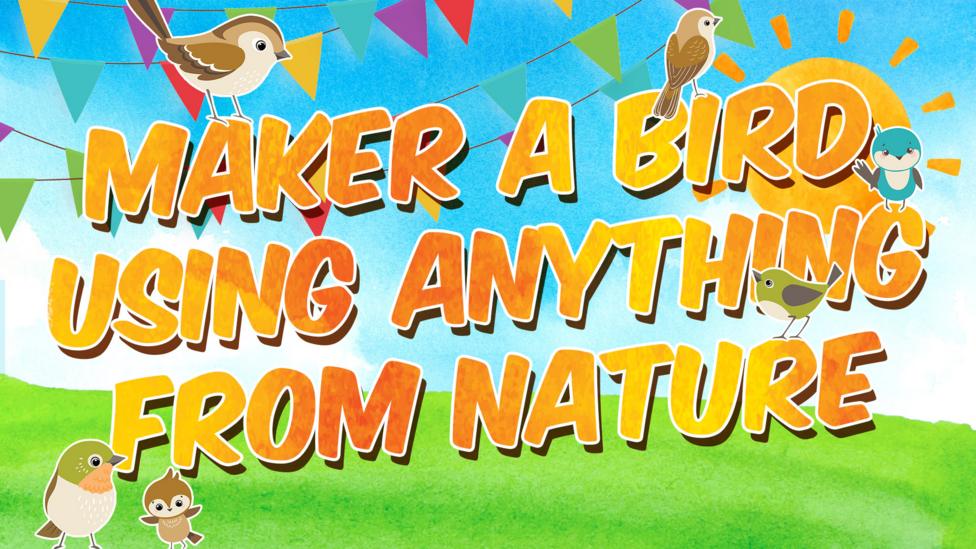 Make a bird using anything from nature.