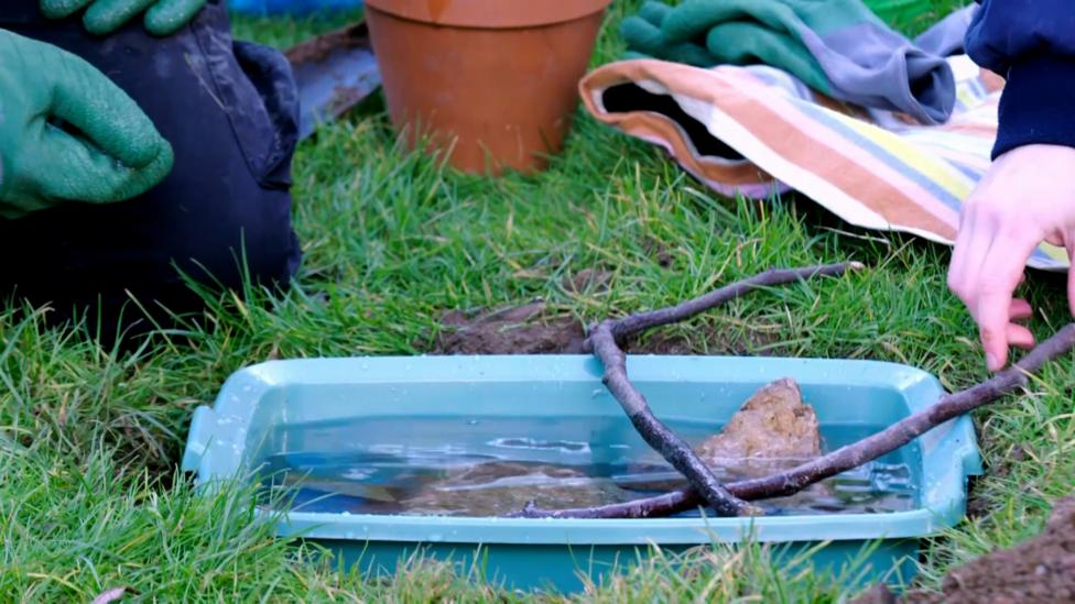 Image of a bucket filled with water, sticks and stones and buried in the ground.