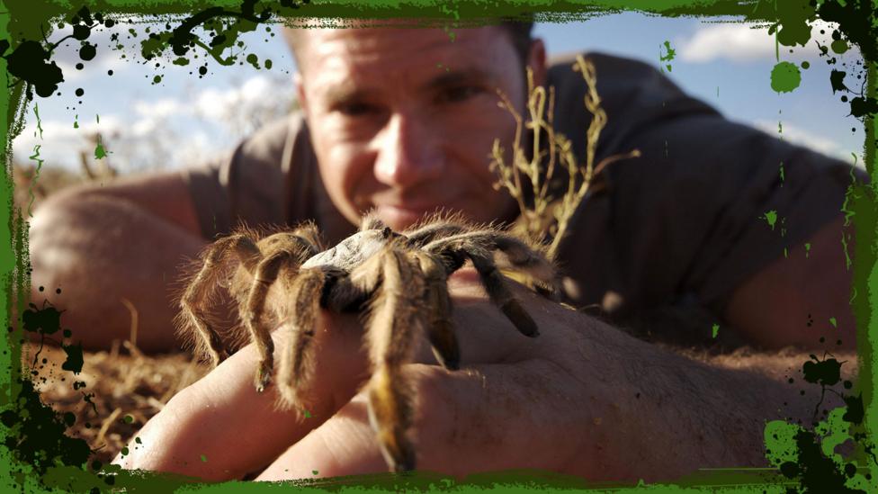Image of Steve holding a baboon spider from Deadly 60