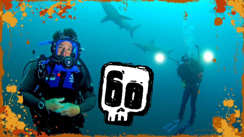 Image of Steve diving with black fin sharks in Deadly 60