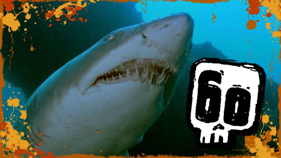 Image of a ragged toothed shark from Deadly 60