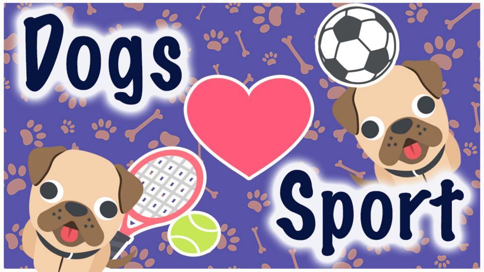 Emoji dogs on a background with paws and bones, the title dog's love sport.