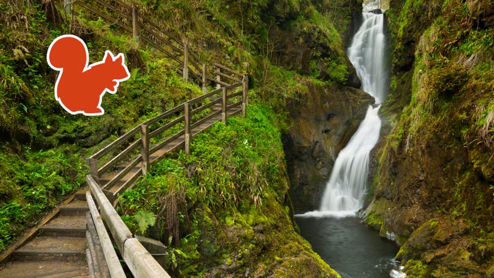 A vibrant green landscape, showing a steep path descent and handrail next to a tumbling waterfall, with an orange red squirrel outline next to the path.