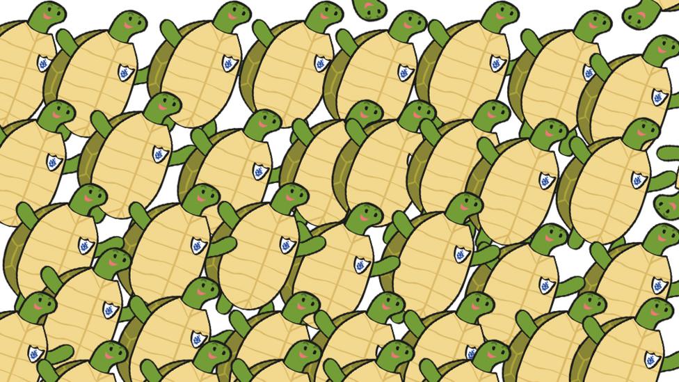 Radzis Riddles and Puzzles Week 13
