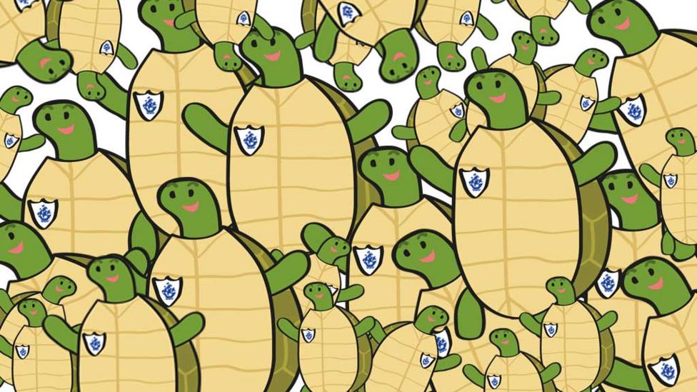 Guess how Many Shellys are in this picture?